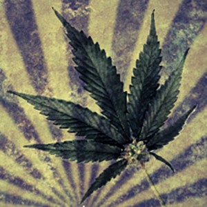 marijuana_marquee-300x300_0.jpg