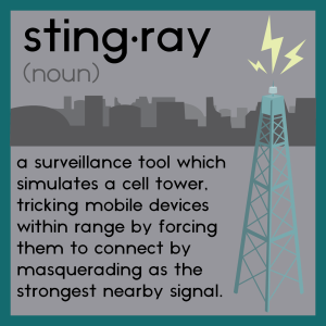 stingray-celltower-graphicv1-300x300_0.png
