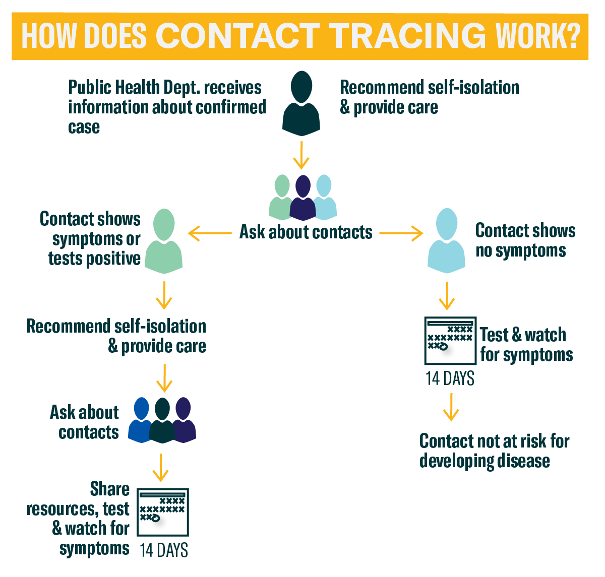 Contact Tracing Process