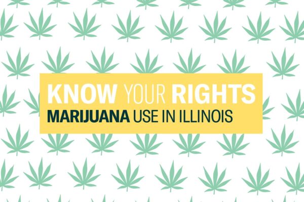 Know Your Rights - Marijuana in Illinois. Repeating light green marijuana leaves on a white background. Light yellow text box with large Know Your Rights in White and Marijuana Use in Illinois in dark green