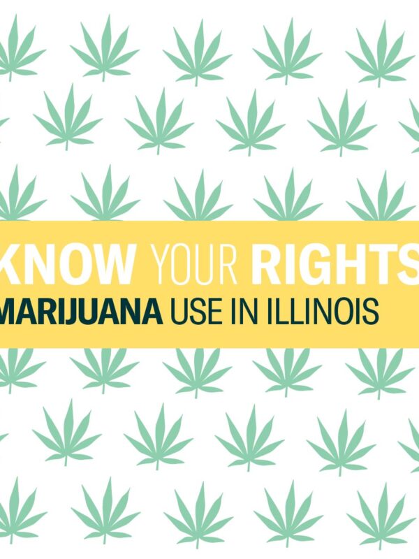 Know Your Rights - Marijuana in Illinois. Repeating light green marijuana leaves on a white background. Light yellow text box with large Know Your Rights in White and Marijuana Use in Illinois in dark green