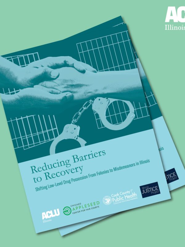 Light green background. Two overlapping report covers. Teal with light blue helping hands in front of jail doors and handcuffs. Bottom is light blue with report title in teal