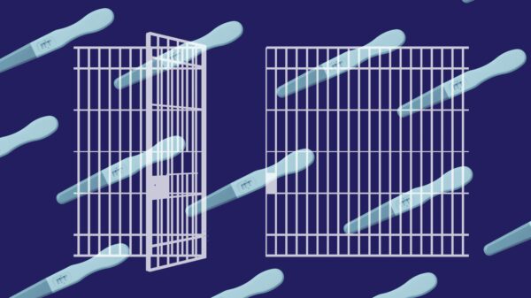 Navy background with light blue pregnancy tests. White jail bars overlaying