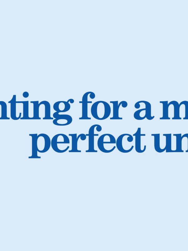 light blue background. blue text "fighting for a more perfect union"