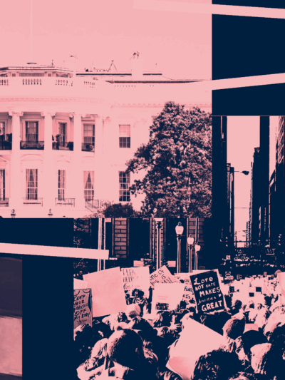 Navy and Pink filtered image of White House, people protesting, and flag