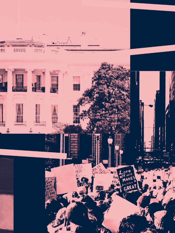 Navy and Pink filtered image of White House, people protesting, and flag