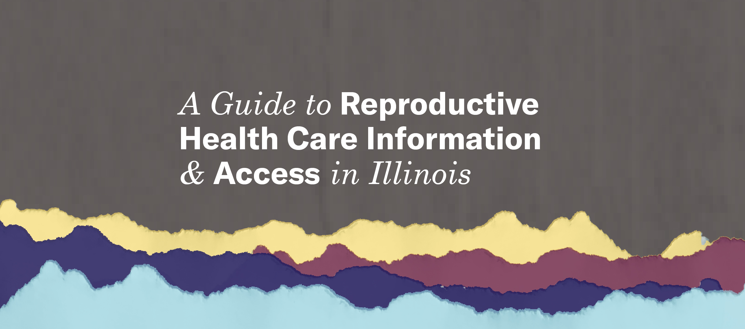 Repro Guide