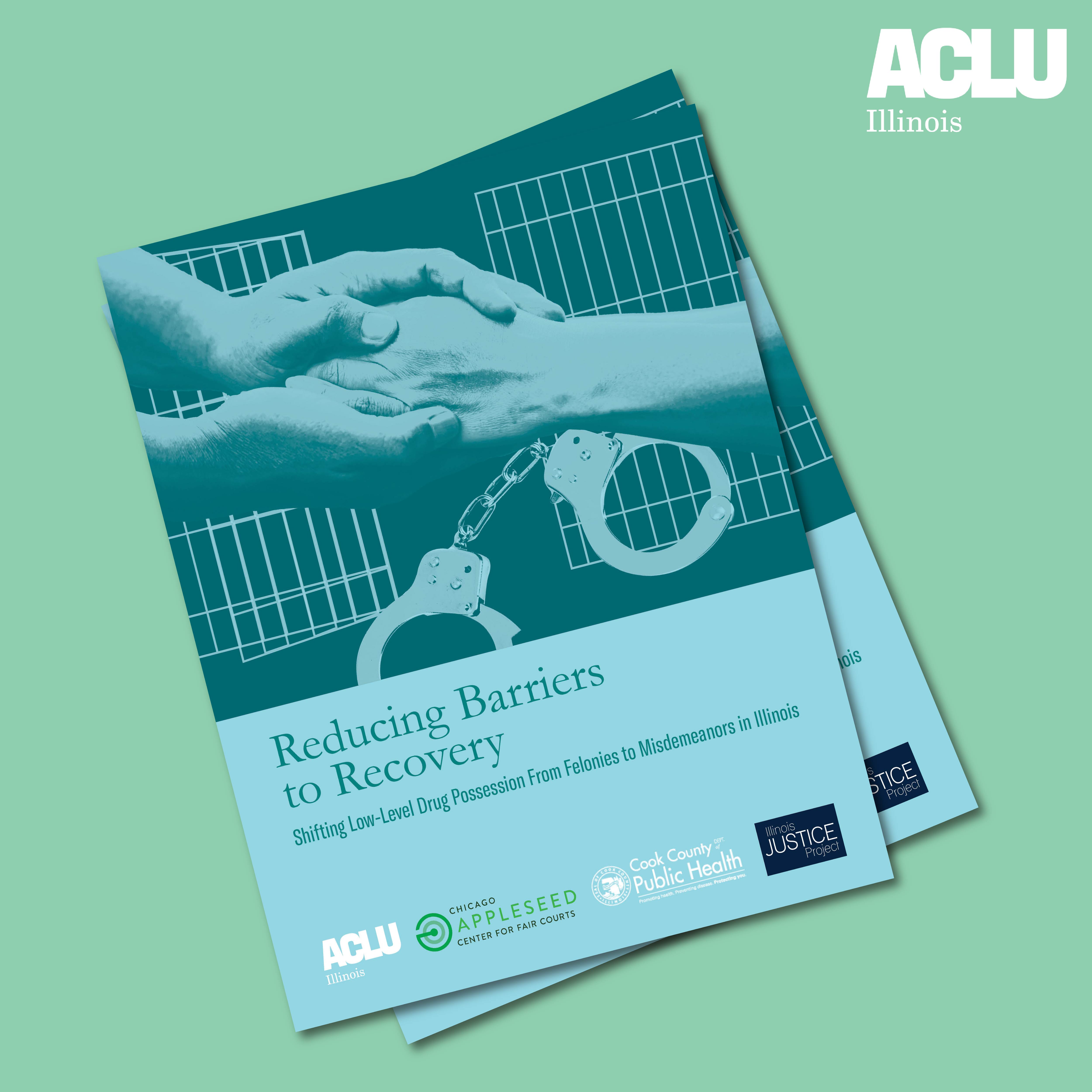 Light green background. Two overlapping report covers. Teal with light blue helping hands in front of jail doors and handcuffs. Bottom is light blue with report title in teal