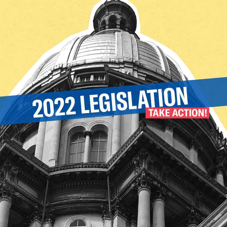 2022 ACLU-IL Legislative Actions