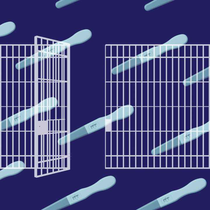 Navy background with light blue pregnancy tests. White jail bars overlaying
