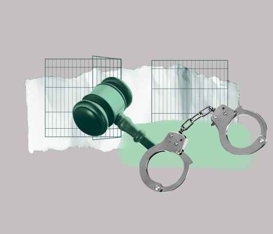 Gray background. Dark green jail cell with a green gavel, and black and white handcuffs over money.